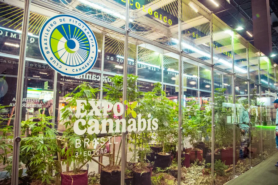 ExpoCannabis Brasil 2025, dia 1