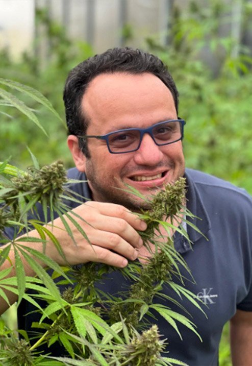 Especialista Cannabis